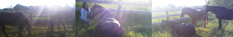 Homepage Header Image